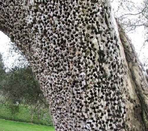 [수정]나의 공포증종류는? : 