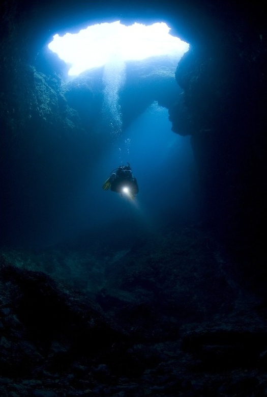 [수정]나의 공포증종류는? : 
