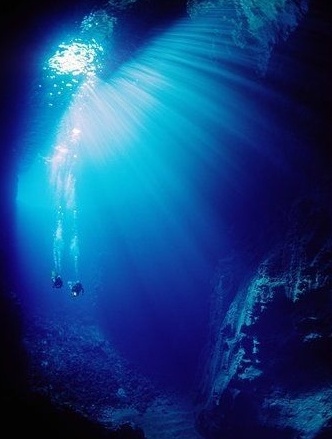 [수정]나의 공포증종류는? : 