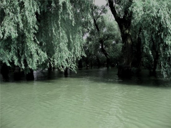 [수정]나의 공포증종류는? : 