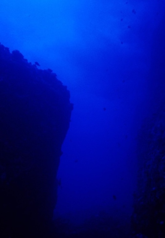 [수정]나의 공포증종류는? : 