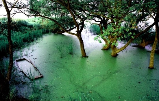 [수정]나의 공포증종류는? : 