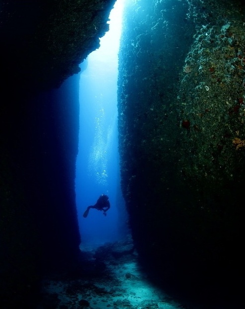 [수정]나의 공포증종류는? : 
