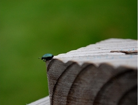 [수정]나의 공포증종류는? : 