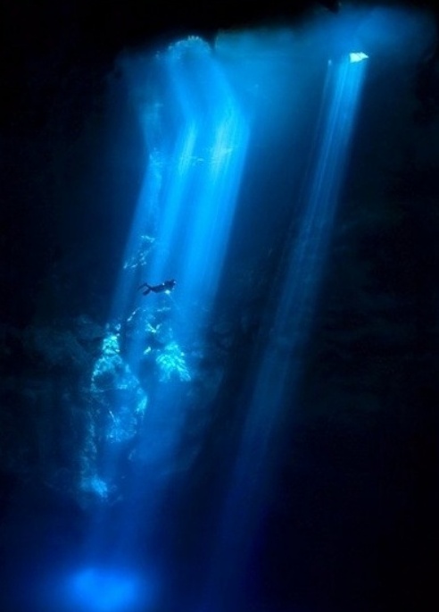 [수정]나의 공포증종류는? : 