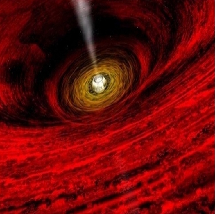 [수정]나의 공포증종류는? : 