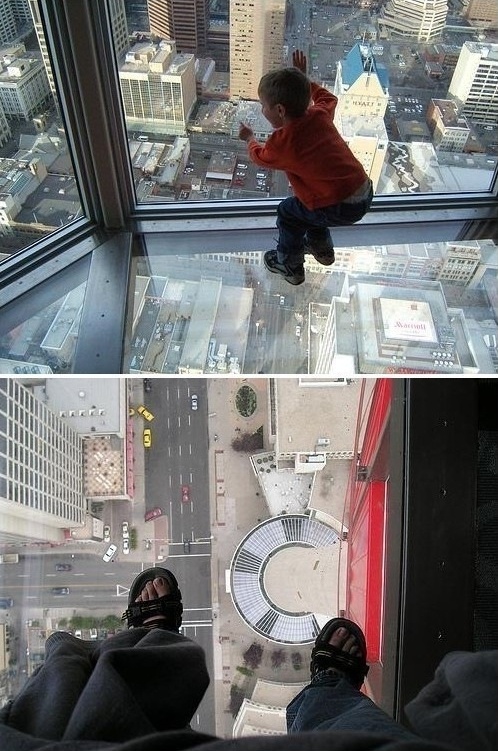 [수정]나의 공포증종류는? : 