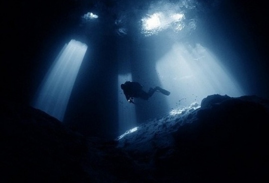 [수정]나의 공포증종류는? : 