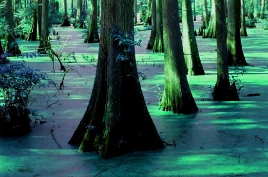 [수정]나의 공포증종류는? : 