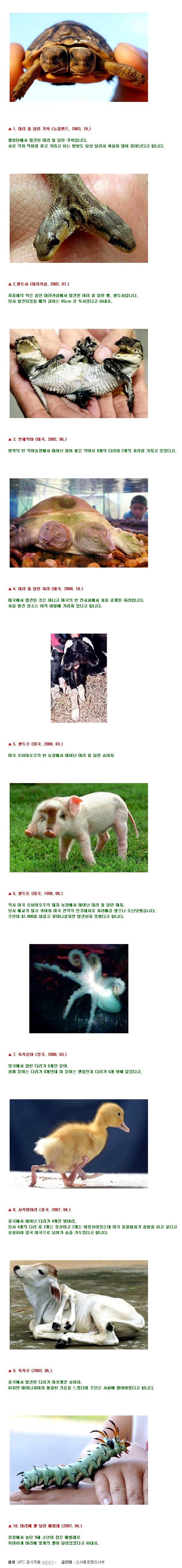 EksAPik.jpg : 세계의 기형동물 10마리