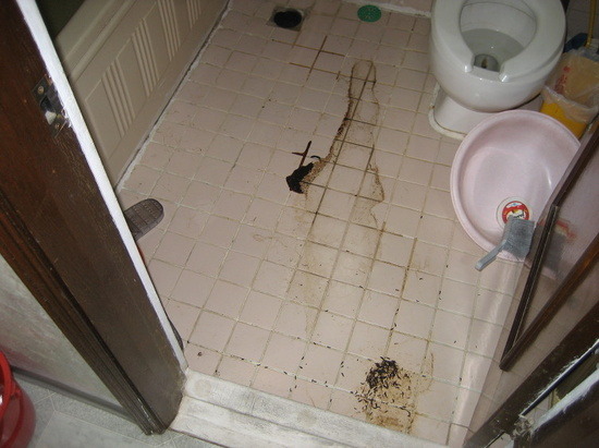 특수청소부. : 144DC5504E0B34771A5B9E