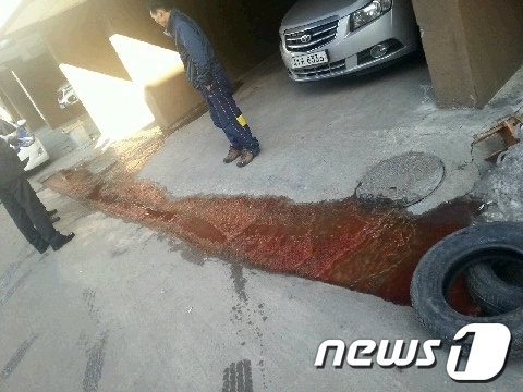 2.jpg : !인천 토막살인 사건 신고 접수!