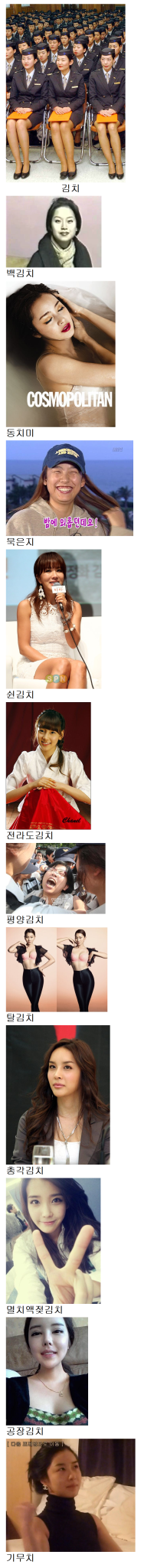 김치종류.png