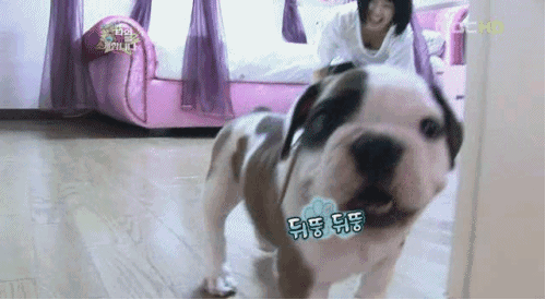 namgyuri.gif : 남규리