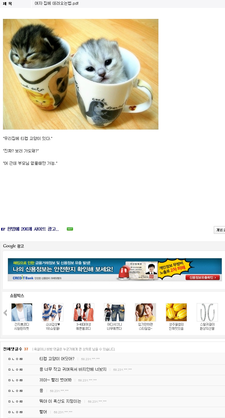 리플이장사셨젴ㅋㅋㅋ.jpg : 티컵 강아지 리플이장사셨젴ㅋㅋㅋ.jpg : 티컵 강아지