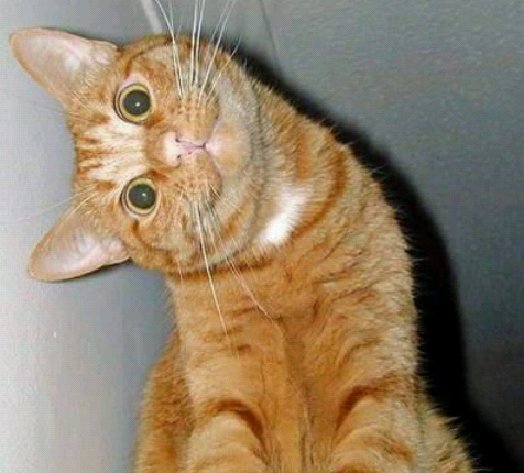 20120627232217.png : :3