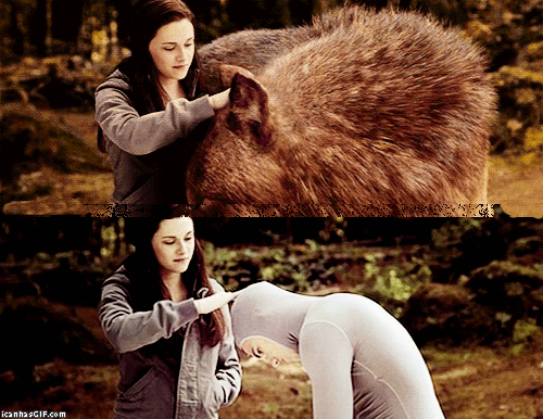 aRsVW.gif