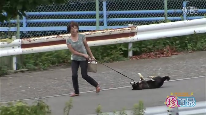 dogdrip.net_dog.jpg