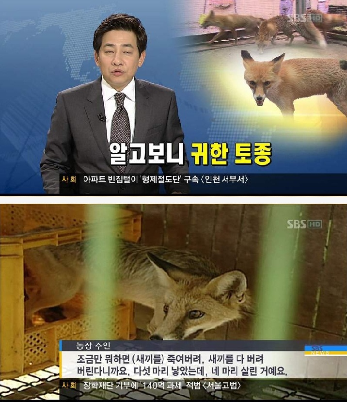 원본보기