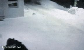 1e2b96b744e2f27dd51ea8c1720d3a76.gif : 어디로 가는겨?