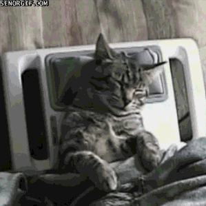 massage-kitty.gif : 이 겨울이 가기전에 .