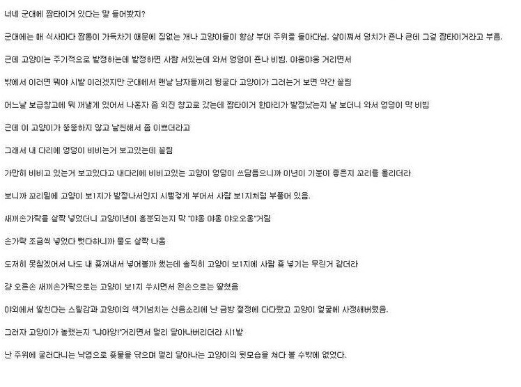 ㅇㅇㅇㅇㅇㅇ.jpg