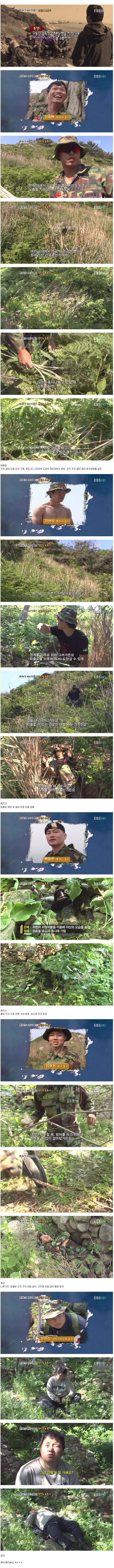 예비역들의_무인도_표류기.jpg