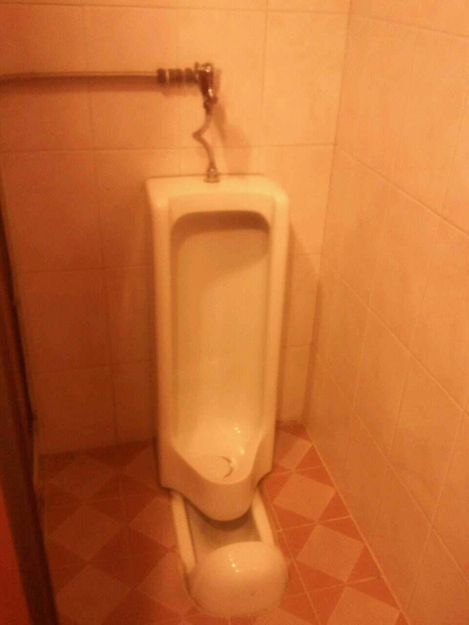 듀얼코어.jpg