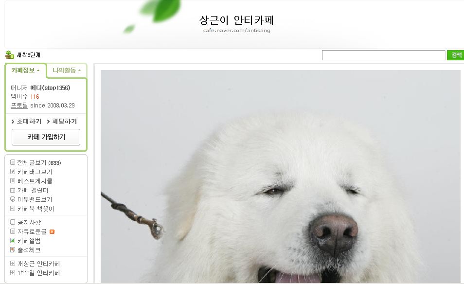 개안티2.JPG
