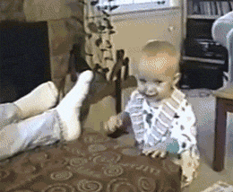 1.gif