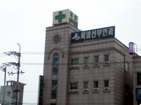 1[1].jpg : 내가 제일 잘 낳아~~