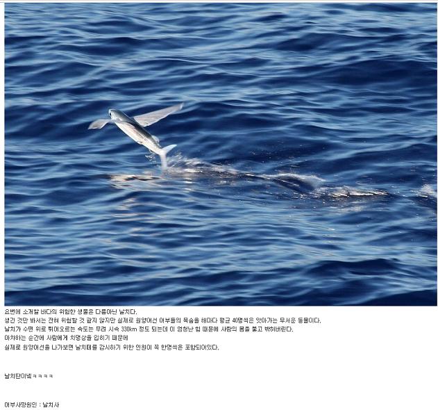제목 없음.JPG