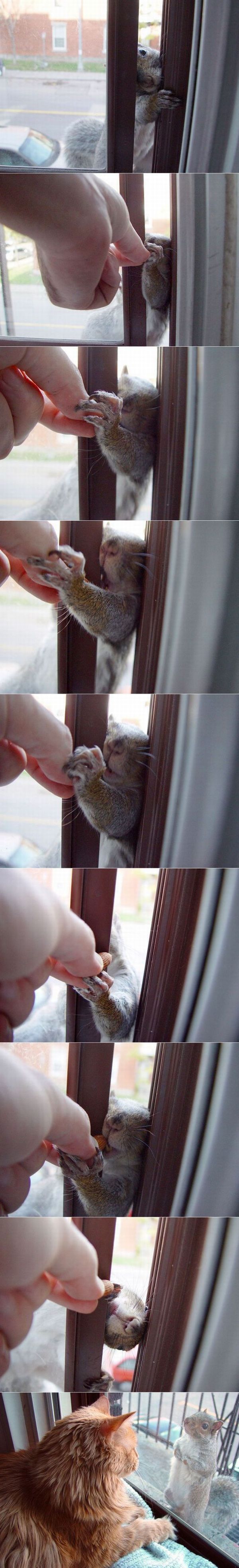 acid_picdump_01.jpg
