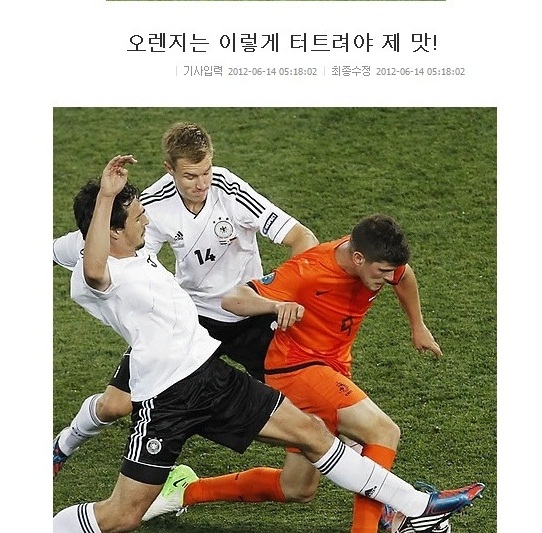 오렌지.jpg