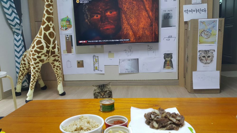 1435905875xzuLiqfIZSxY2i7dn2_1435948928_