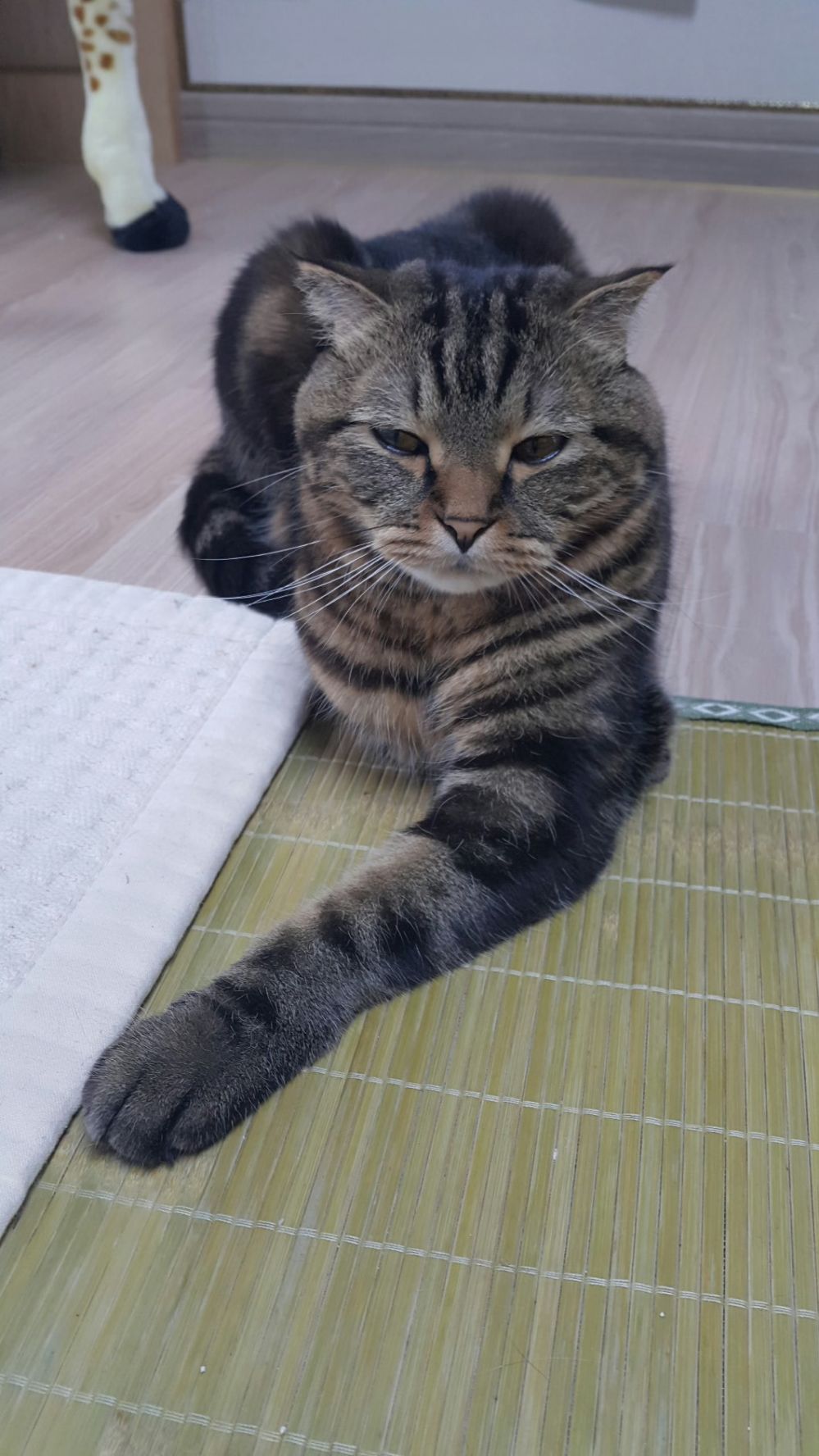 1435905911apl5rto7J5jgn_1435948929_3_1.j