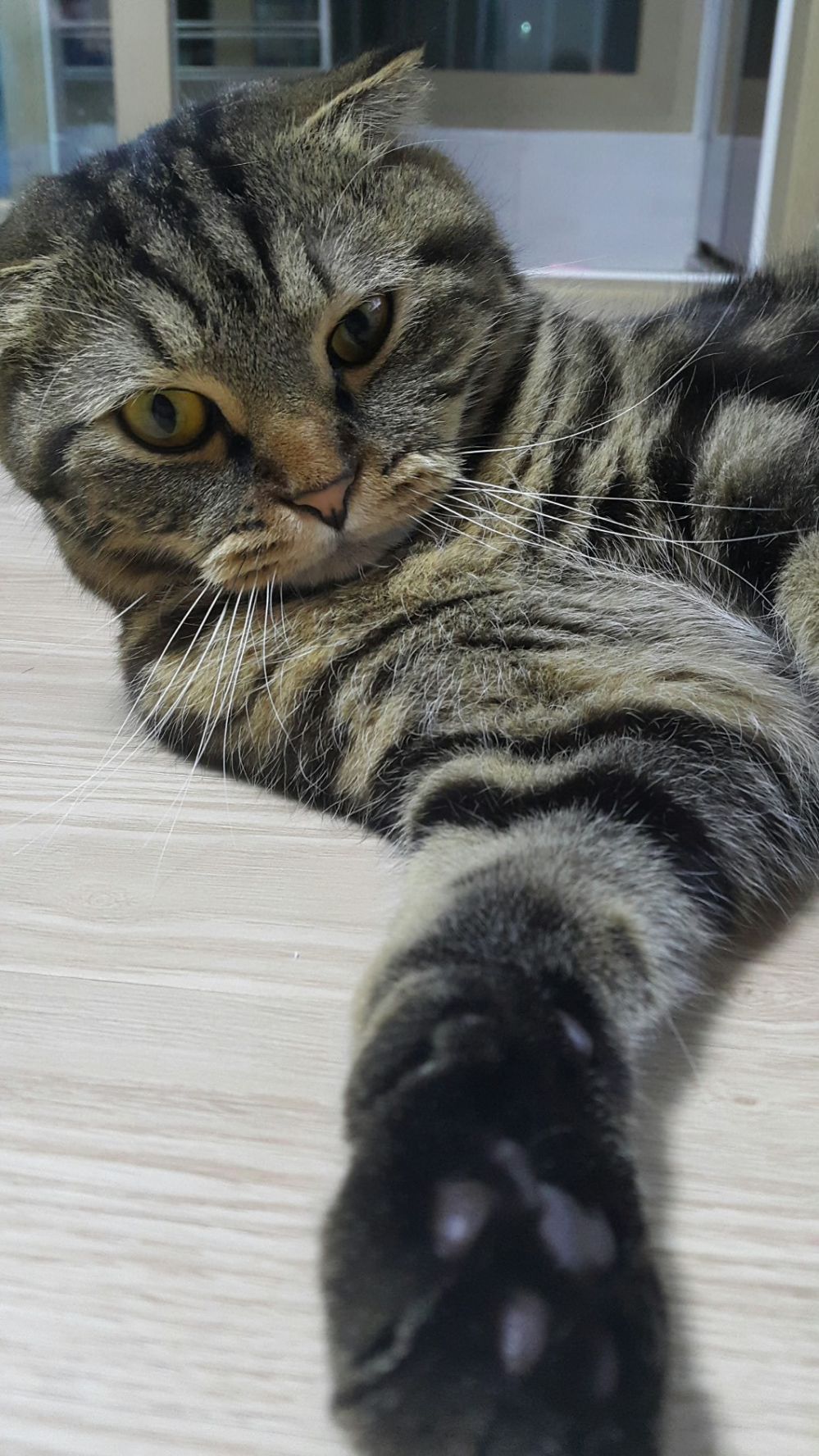 1435905836f6t1HlZSz7oiK5Jur_1435948928_1