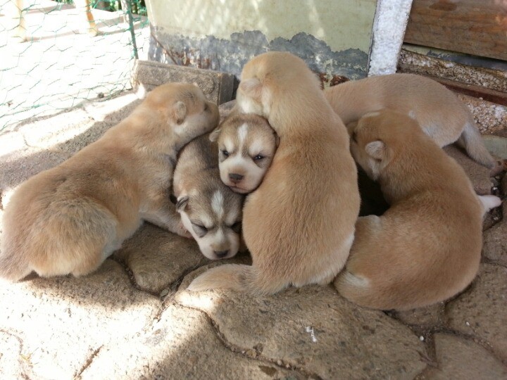 1436495463x7oPSTaLhtdslh_1436712135_18_5