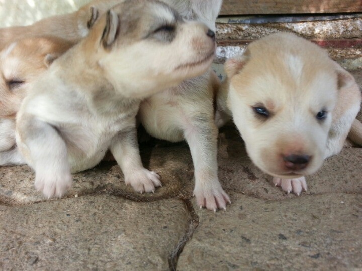 1436495462oYz6BbTl8xZa2K2Cg4XczSDFLDDE_1