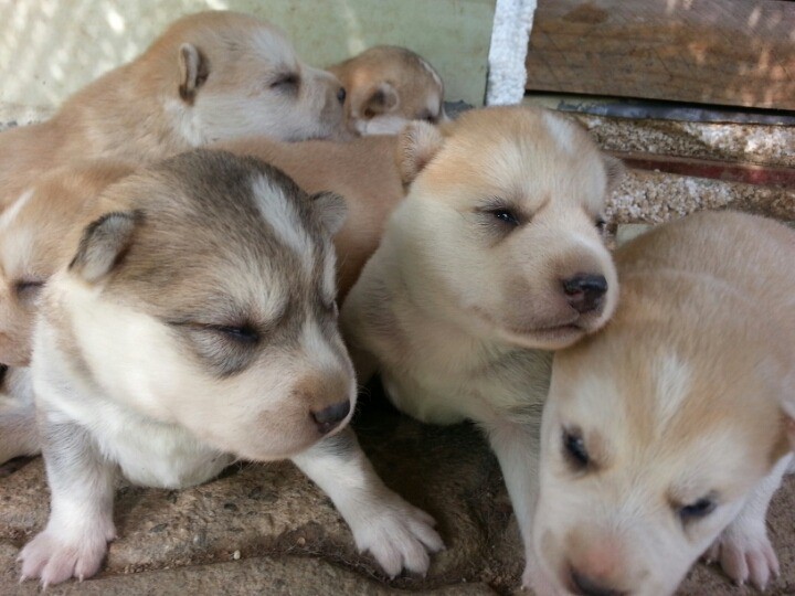 14364954621oBake165kXMOWvkFuUPDpJBRhn_14