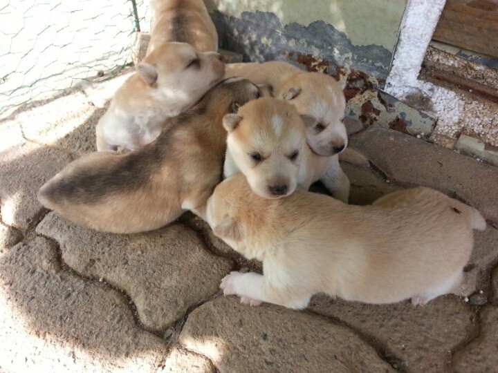 1436495447NhvDHQbUIQwo4uDk19_1436712133_