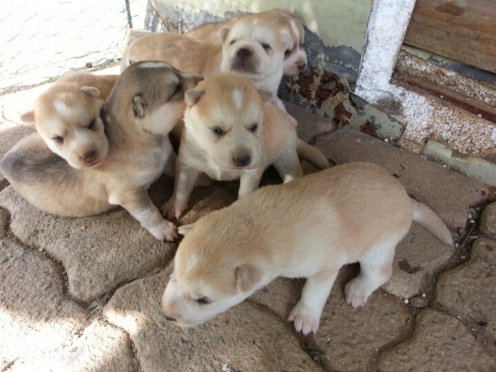 14364954481sYCsQ9sEUzWsXxy8T_1436712133_