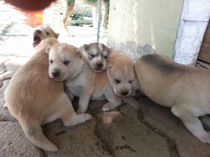 1436495447Iyi3hM7apXFH_1436712132_1_5.jp