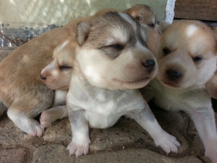 1436495463Fi79qEt1d7Os_1436712135_14_5.j