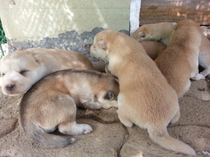 1436495464ew9QEgxBnSofeOKEUdz5nkgfci_143