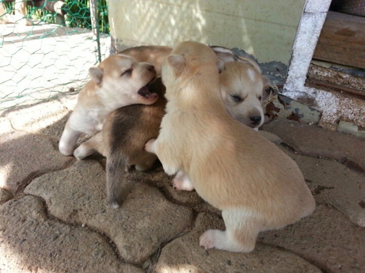 14364954477GEsE958XXKd5r97hjYhslE8lMaH_1