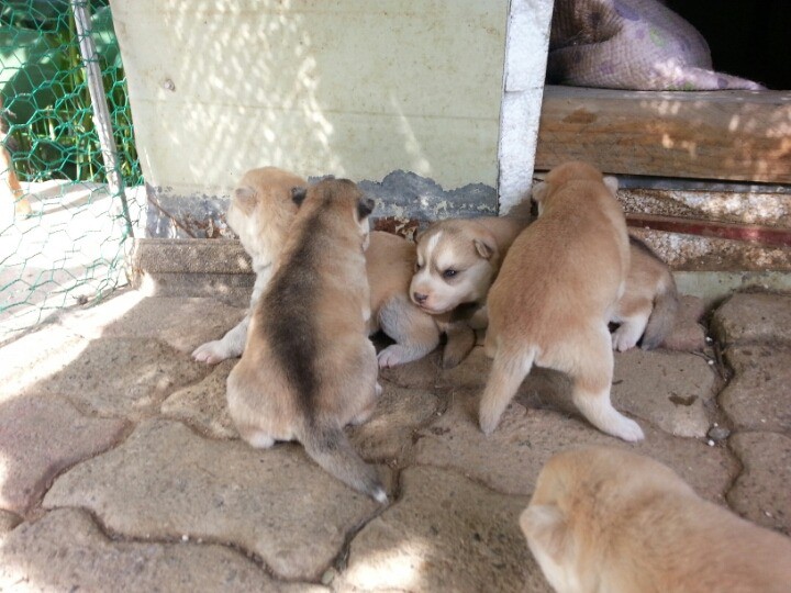 1436495465rU5E9EGoIXyMkAHhAWVaJpsAr8qiW4