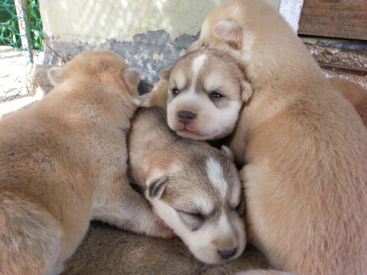 1436495463tTDUOZuVxgc7c_1436712136_19_5.