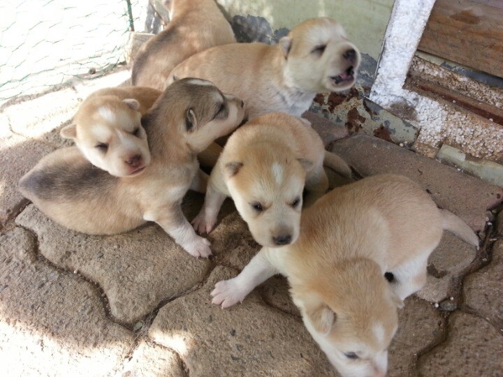 1436495448afON4zNTkODmCVZlgrbW8UZEOPQn_1