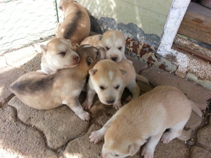 1436495448Rtgiq8jvUKCI47mteS_1436712133_